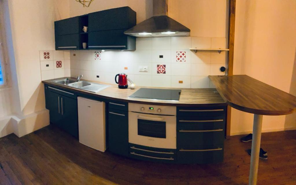 Le Bleu Roi Apartment Дижон Екстериор снимка